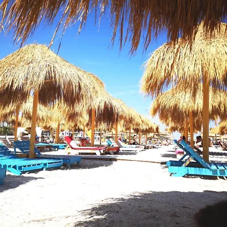 Alma Distrikt Apartman *